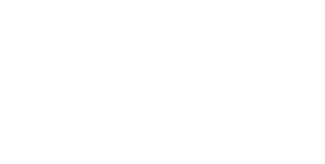 zoom logo blanco