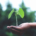 Planta crecer